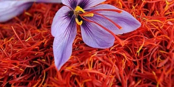 تصویر 5 از خرید و قیمت زعفران سرگل قائنات + فروش صادراتی